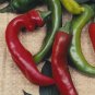 New Arrival 200 Anaheim Mild Hot Chili Pepper Seeds Heirloom - Non-GMO - Always Fresh Seeds!