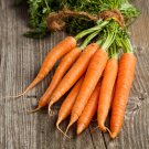 Best-Selling 5000 Carrot Seeds Kuroda Long 8"" Heirloom - Premium Non-GMO, Open Pollinated