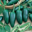 Limited Edition 150 Organic Hot Jalapeno Pepper Seeds Early Heirloom - Non-GMO - Always Fresh Se