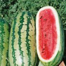 Exclusive 40 Watermelon Seeds - Georgia Rattlesnake Heirloom - NON-GMO - Always Fresh Seed