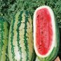 Exclusive 40 Watermelon Seeds - Georgia Rattlesnake Heirloom - NON-GMO - Always Fresh Seed
