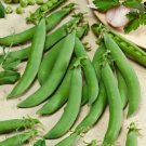 Limited Edition 75 Sugar Snap Pea Seeds - Sugar Daddy - Non-GMO - Always Fresh Seeds!