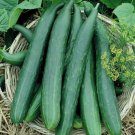 Premium 150 Cucumber Seeds - Metki Dark Green Armenian Heirloom - Premium Non-GMO