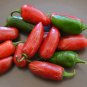 Limited Edition 25 MILD TAM JALAPENO PEPPER SEEDS ~ 2025 ~ ~ USA