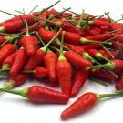 Limited Edition 15 HAWAIIAN SWEET HOT PEPPER SEEDS ~ 2025 ~ ~ USA
