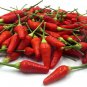 Limited Edition 15 HAWAIIAN SWEET HOT PEPPER SEEDS ~ 2025 ~ ~ USA