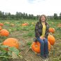 Top-Quality 25 SEED GIANT PUMPKIN PATCH SEED COLLECTION ~THREE TYPES! ~2025 ~