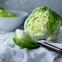 Best-Selling 1000 ICEBERG LETTUCE SEEDS ~ ~ 2025 ~ NON-GMO