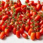 Top-Quality 30 BABY ROMA TOMATO SEEDS ~ ~ 2025 ~ NON-GMO