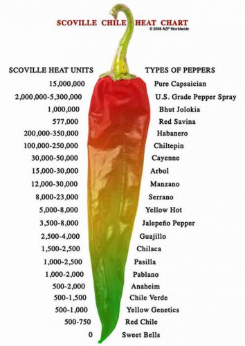 Limited Edition 25 LONG THIN RED CAYENNE PEPPER SEEDS ~ 2025 ~ ~ USA