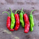 Exclusive 20 SHISHITO PEPPER SEEDS ~ ~ 2025 ~ NON-GMO