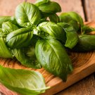 Limited Edition 200 GENOVESE BASIL SEEDS ~ 2025 ~ ~ USA