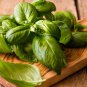 New Arrival 200 GENOVESE BASIL SEEDS ~ ~ 2025 ~ NON-GMO