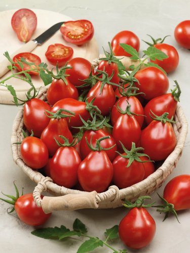 Top-Quality 30 RED PEAR TOMATO SEEDS ~ ~ 2025 ~ NON-GMO