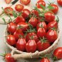 Top-Quality 30 RED PEAR TOMATO SEEDS ~ ~ 2025 ~ NON-GMO