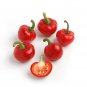 Premium 25 SWEET RED CHERRY PEPPER SEEDS ~ ~ 2025 ~ NON-GMO