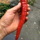 Best-Selling 20 JIMMY NARDELLO PEPPER SEEDS ~ ~ 2025 ~ NON-GMO
