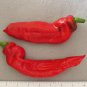 Premium 25 MARCONI ROSSO ITALIAN PEPPER SEEDS ~ ~ 2025 ~ NON-GMO