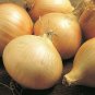 Exclusive 200 WALLA WALLA SWEET ONION SEEDS ~ 2025 ~ ~ USA