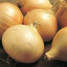 Top-Quality 200 WALLA WALLA SWEET ONION SEEDS ~ ~ 2025 ~ NON-GMO