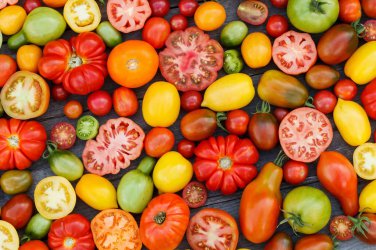 Limited Edition 6 PACK HEIRLOOM TOMATO SEED COLLECTION ~ ~ 2025 ~ NON-GMO