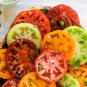 Limited Edition 6 PACK HEIRLOOM TOMATO SEED COLLECTION ~ ~ 2025 ~ NON-GMO
