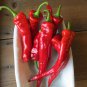 Exclusive 25 HOT PORTUGAL PEPPER SEEDS ~ 2025 ~ ~ USA