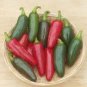 Best-Selling 25 JALAPENO M PEPPER SEEDS ~ ~ 2025 ~ NON-GMO