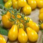 Premium 30 YELLOW PEAR TOMATO SEEDS ~ ~ 2025 ~ NON-GMO
