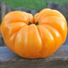 Best-Selling 30 DR. WYCHE'S YELLOW BEEFSTEAK TOMATO SEEDS ~ ~ 2025 ~ NON-GMO