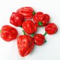 Top-Quality 25 CARRIBEAN RED HABANERO PEPPER SEEDS ~ 2025 ~ ~ USA