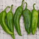 Premium 25 HATCH RATTLESNAKE PEPPER SEEDS ~ ~ 2025 ~ NON-GMO