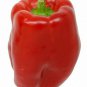 Best-Selling 25 KEYSTONE GIANT SWEET PEPPER SEEDS ~ ~ 2025 ~ NON-GMO