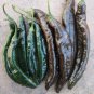 Top-Quality 25 PASILLA BAJIO PEPPER SEEDS ~ ~ 2025 ~ NON-GMO
