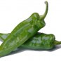 Limited Edition 25 ANAHIEM PEPPER SEEDS ~ 2025 ~ ~ USA