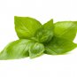 Exclusive 200 LEMON BASIL SEEDS ~ ~ 2025 ~ NON-GMO