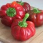 New Arrival 25 SWEET PIMENTO PEPPER SEEDS ~ 2025 ~ ~ USA