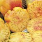 Top-Quality 30 PINEAPPLE TOMATO SEEDS ~ ~ 2025 ~ NON-GMO