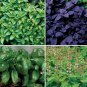 Premium 6 PACK BASIL SEED COLLECTION ~ ~ 2025 ~ NON-GMO