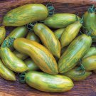 Best-Selling 30 GREEN SAUSAGE TOMATO SEEDS ~ ~ 2025 ~ NON-GMO
