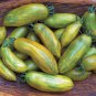 Best-Selling 30 GREEN SAUSAGE TOMATO SEEDS ~ ~ 2025 ~ NON-GMO