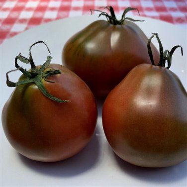 Top-Quality 30 BLACK TRUFFLE TOMATO SEEDS ~ 2025 ~ ~ USA