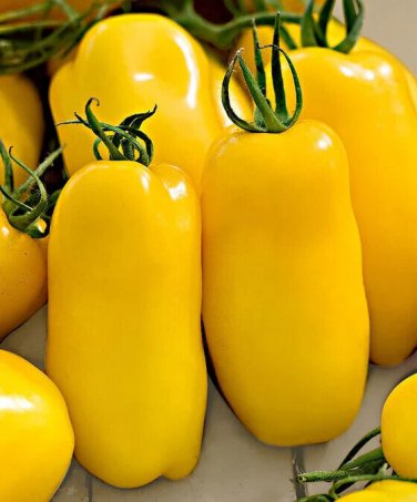 Top-Quality 30 BANANA LEGS PASTE TOMATO SEEDS ~ ~ 2025 ~ NON-GMO