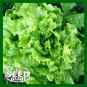 Limited Edition Granex Yellow Onion Seeds - 300 SEEDS