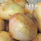 New Arrival Grano 1015Y Onion Seeds - 300 SEEDS NON-GMO