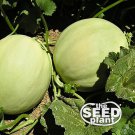 New Arrival Honeydew Melon Seeds 25 SEEDS