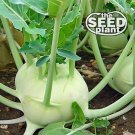 Best-Selling White Vienna Kohlrabi Seeds - 500 SEEDS