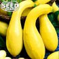 Best-Selling Crookneck Yellow Squash Seeds - 25 SEEDS
