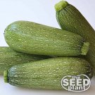 Top-Quality Grey Zucchini Squash Seeds - 25 SEEDS NON-GMO
