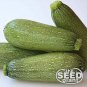Top-Quality Grey Zucchini Squash Seeds - 25 SEEDS NON-GMO